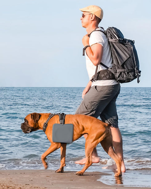 Collapsible Portable 2-in-1 Dog Bowl, Travel Dog Bowl Integrated, Silicone Foldable Expandable Food Water Bowl with Carabiner - Anti-Spill and Ant...