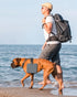 Collapsible Portable 2-in-1 Dog Bowl, Travel Dog Bowl Integrated, Silicone Foldable Expandable Food Water Bowl with Carabiner - Anti-Spill and Ant...