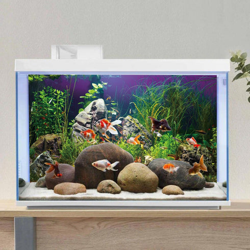 AWERT 36x18 inches Aquarium Background Seagrass Aquarium Background Stone River Bed & Lake Fish Tank Background Vinyl Background...