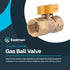 Eastman 1/2 Inch FIP Gas Ball Valve, Brass Connectors and Fittings for Natural Gas and Liquid Propane, 60009B...
