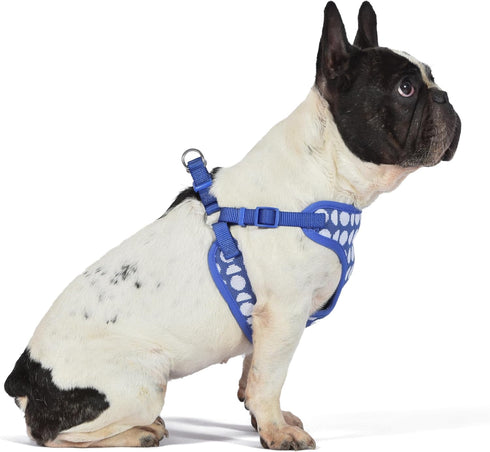 The Dodo Dog Harness, Blue Dodo Print, Size Medium; Easy Step-in Harness for Dogs; Breathable Mesh Fabric; Snap-Together, Pinch Release Buckle, Ri...