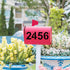 DXCYZ 8 Inch Large Number Stencils Kit 0-9 Address Number Stencil, 10PCS Reusable Plastic Painting Number Templates for Mailbox Signs, Door, Cars,...
