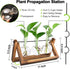 Plant Propagation Station, Plant Terrarium with Wooden Stand, Unique Gardening Birthday Gifts for Women Plant Lovers, Home Office Garden Decor Pla...