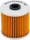 Road Passion 16099004 Oil Filter Compatible with KAWASAKI KEF300 LAKOTA 300 1995-2003 KEF300 LAKOTA SPORT 290 2001-2002...