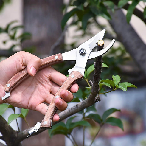 BUGUI Bypass Garden Pruning Shears - Premium SK-5 Steel Blade, Professional Garden Shears, Sharp Garden Scissors for Cutting Live Flowers, Trimmin...