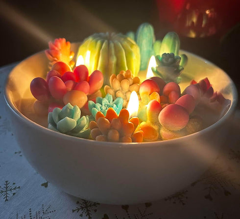 Palksky 10 Pcs Succulent Molds Silicone Candle Molds 3D Cacti Epoxy Resin Casting Molds Cactus Clay Molds Christmas Molds for DIY Making Wax Melt ...