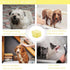 Dog/Cat Bath Brush Massage Brush Pet Scrubber Brush Dog Shampoo Scrubber Brush for Short & Long Haired Dogs/Cats....