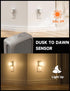 Night Lights Plug into Wall 2 Pack, Bright Night Light with Dusk to Dawn Sensor, Soft White 3000K, Brightness Adjustable, 1W Plug in Night Light f...