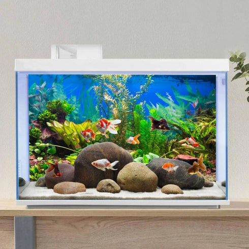 AWERT 30x18 inches Aquarium Background Aquatic Plant River Bed & Lake Fish Tank Background Vinyl...