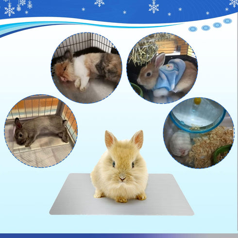 Rabbit Cooling Pad, 11.8x7.9 in Hamster Cooling Mat Pet Cool Plate for Rabbit Bunny Hamster Guinea Pig & Other Small Pets Stay Cool This Summer - ...