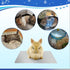 Rabbit Cooling Pad, 11.8x7.9 in Hamster Cooling Mat Pet Cool Plate for Rabbit Bunny Hamster Guinea Pig & Other Small Pets Stay Cool This Summer - ...