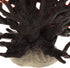 VOCOSTE Coral Reef Decor, Mini Faux Coral Decor for Aquarium Decorations, Black Red,6.5"x5.83"...