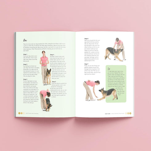 Hinkler Dog Tricks and Training Box Set - Pet Care Guide - Dog Training - Household Essentials -Exclusive Access to Online Dog Training Videos - C...