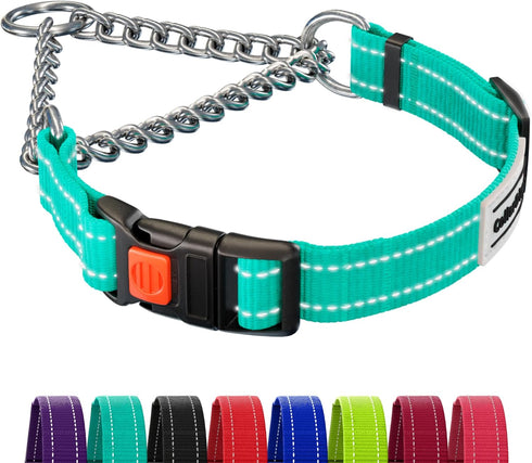CollarDirect Martingale Dog Collar with Stainless Steel Chain and Quick Release Buckle - Reflective Collar for Large, Medium, Small Dogs - Mint Gr...