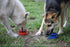 Mr. Peanut's Collapsible Dog Bowls, Set of 3 Colors, Dishwasher Safe BPA Free Food Grade Silicone Portable Pet Bowls, Foldable Travel Bowls for Fe...