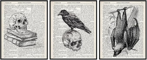 Posterizer 3 pcs-Gothic Creepy Black and White Skulls Dictionary Art-Vintage Art-Retro Art-Gift for Steampunk or Goth Fans- unframed wall art...