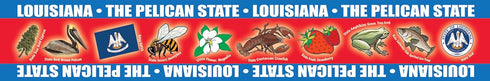Louisiana Borders for Bulletin Boards...