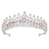 AW BRIDAL Tiaras and Crowns for Women Purple Crystal Princess Tiara - Queen Crown Headband for Halloween Costume Party Prom Wedding Christmas Hair...