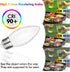 6Pack B11 E26 LED Candelabra Bulbs, 5W Equal 40 watt Edison Light Bulbs, Daylight White 5000K Dimmable Candle Bulb for Chandeliers, Ceiling Fan,Pe...