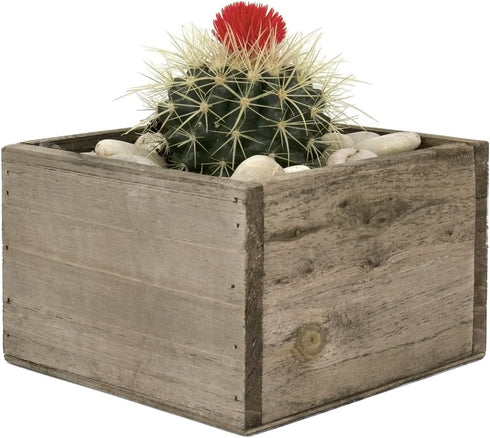 CYS EXCEL Wood Square Planter Box with Removable Plastic Liner (H:4" Open:6"x6") | Multiple Size Choices Wooden Planters | Indoor Decorative Flowe...