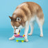 Fringe Studio Dog Toy, Life'S A Paw-Ty, Latex, Pet Shop Collection (366012)...