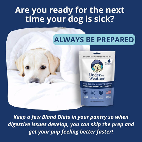 Under the Weather Easy to Digest Bland Diet for Sick Dogs - Always Be Ready - Contains Electrolytes - Gluten Free, All Natural, Freeze Dried 100% ...