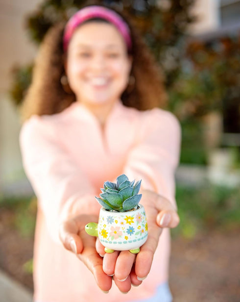 Karma, Shaped Succulent Pot, Artificial Succulents in Ceramic Pot, Faux Mini Succulent Plant, Desk Decor, Office Plants, Succulent Décor Faux Succ...