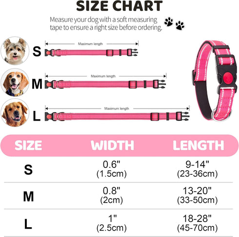 2 Pack Reflective Dog Collar for Small Dogs Girl Boys,Nylon Durable Soft Padded Neoprene Male Female Dog Collars for Medium Puppy Extra Large Dogs...