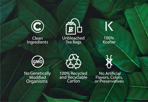 Buddha Teas Organic Hyssop Tea - OU Kosher, USDA Organic, CCOF, 18 Bleach-Free Tea Bags...