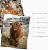 JarThenaAMCS 12Pcs Fall Wall Art Prints Country Autumn Landscape Art Poster Realistic Nature Scenery Wall Decor for Seasonal Home Gallery Living R...