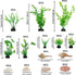 Aquarium Decorations Plants, 25pcs Aquarium Decor Green Plants with Natural Shells, Fish Tank Accessories, Fish Tank Large Plant Plastic Decoratio...