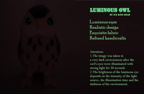 Ice King Bear Owl Stuffed Animal Luminous Eyes, Cute Plush toy 10 Inches...