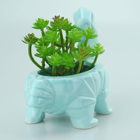 VanEnjoy 6 Inch Cute Cartoon Dinosaur Shape Ceramic Succulent Planter, Water Culture Hydroponics Bonsai Cactus Flower Pot,Air Plant Vase Holder De...
