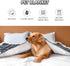 Waterproof Dog Blanket, Pattern Printing Super Soft Warm Fluffy Facecloth Sofa Car Bed Protector, Urine Proof Washable Outdoor Pet Blanket for Pup...