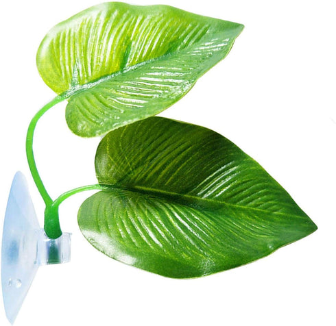Betta Fish Leaf Pad Improves Betta's Health by Simulating The Natural Habitat - Natural, Organic, Comfortable Rest Area for Fish Aquarium...