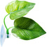Betta Fish Leaf Pad Improves Betta's Health by Simulating The Natural Habitat - Natural, Organic, Comfortable Rest Area for Fish Aquarium...