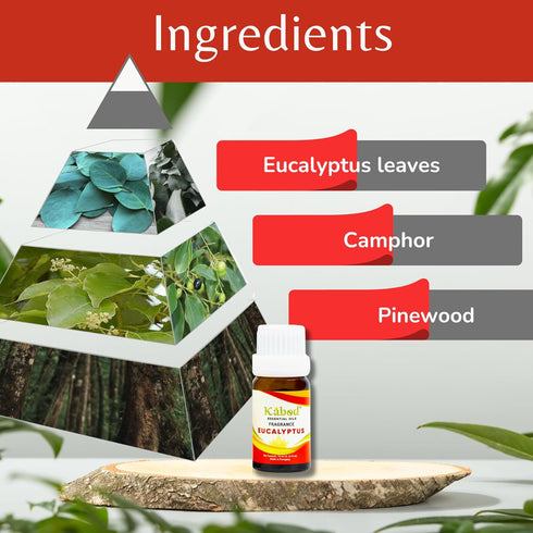 Kabod Eucalyptus Essential Oil - Aromatherapy Blend for Diffusers, Humidifiers, Aroma Stoves, Soap and Candles - Fragrance Oil for Home - 10ML Bot...