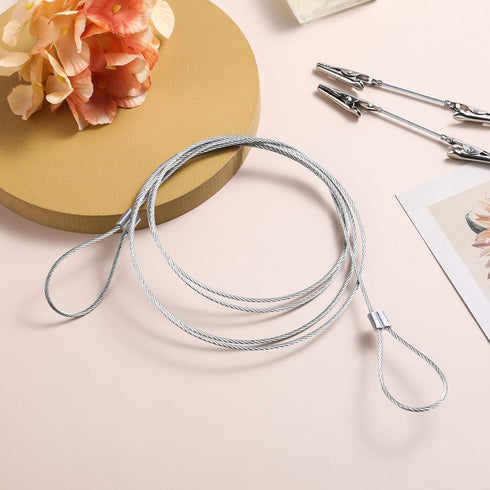 Metal Wall Hanging Photo Display, Steel Wall Hanging Display Cable Wire Rod with 12PCS Alligator Clips, Picture Holders for Postcards and Artworks...