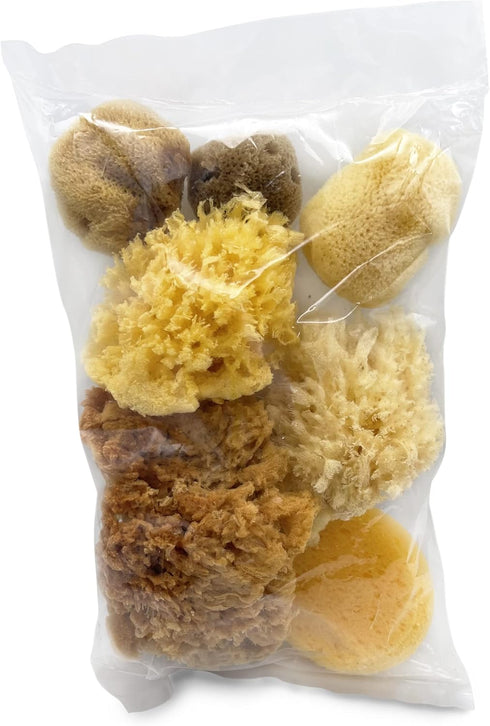 Natural Sea & Synthetic Sponges - Assorted Sizes 7pc Value Pack for Crafts & Artists: Great for Painting, Hobbies, Art, Effects, Ceramics, Clay, P...