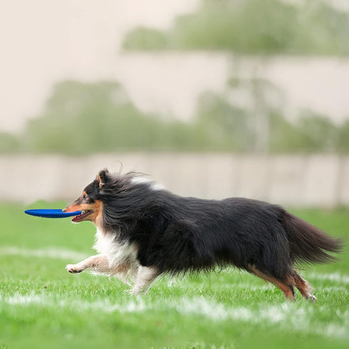 Natural Rubber Flying Disc Dog Toy?Suitable for Playing Outdoors, on The Beach, in The Courtyard?Blue?...