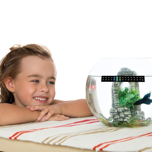 Zonon 12 Pcs Stick on Thermometer Strips Horizontal Thermometer Stickers Digital Temperature Display for Fermenting, Brewing, Wine, Beer, 64-93 Fa...