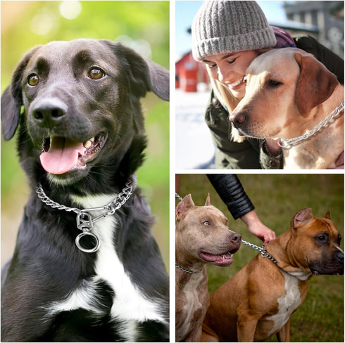 Metal Chain Dog Collar, Chew Proof Dog Necklace Leash Adjustable Slip Chain Necklace Stainless Steel Dog Leash Extension Chain Collars for Large S...