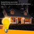 Dusk to Dawn Bug Light Bulb Outdoor,8 Pack Amber Bug Light Bulb,Auto On/Off,10W(100W Equivalent),E26 Base,Bug Lights for Outside.Home Hallway Porc...