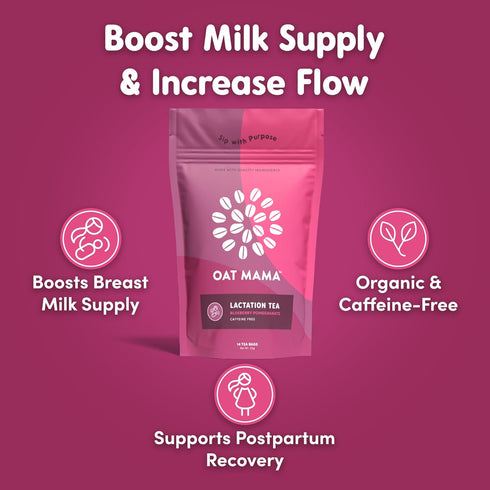 Oat Mama Lactation Tea for Breastfeeding Moms - Blueberry Pomegranate | Breastfeeding Essentials for Milk Supply Increase | Organic Lactation Supp...