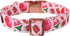 MR. CHUBBYFACE Spring Summer Dog Collar Cute Pink Beach Bikini Dog Collar Girl Boy Dog Collar for Small Medieum Large Dogs...