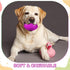 4 Pcs 4.5'' Spiky Squeaker Football Dog Toy for Medium Large Dogs Spiky Dog Balls Puppy Chew Toys for Aggressive Chewers Spiky Ball Dog Toy Fetch ...
