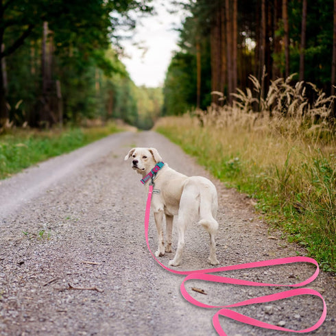 10ft Pink Long Leash Waterproof Training Dog Leash? Easy Care Leash Fit for Recall? Swimming? Camping? Beach? Hunting? Walking...