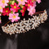 EVER FAITH Wedding Austrian Crystal Hair Accessory for Women, Birdal Flower Cluster Headband for Bride BRidesmaid Clear Gold-Tone...