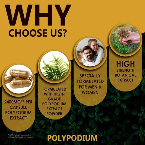 Polypodium Leucotomos Extract 2400mg 120 Veg Capsules - Supports Natural Healthy Skin Care- Antioxidant- Natural Skin Tone- Vegetarian, Non- GMO 4...