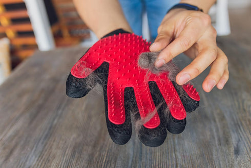 PAIR of Low-Cost Pet Grooming Gloves - Superior Care for Your Furry Friends. Ideal for Grooming, Deshedding, Bathing & Massaging Your Dogs & Cats ...